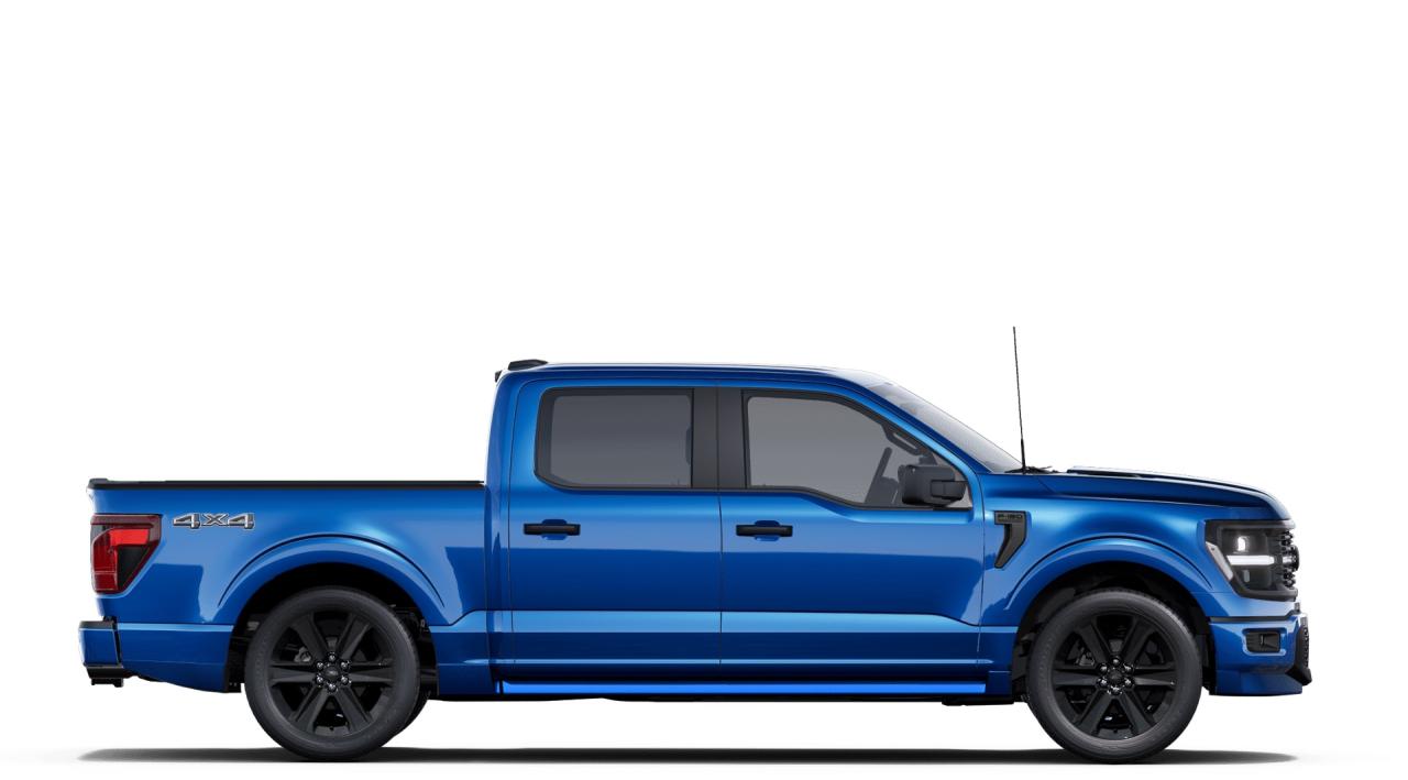 2025 Ford F-150 STX Lobo Supercrew 4x4 Photo4