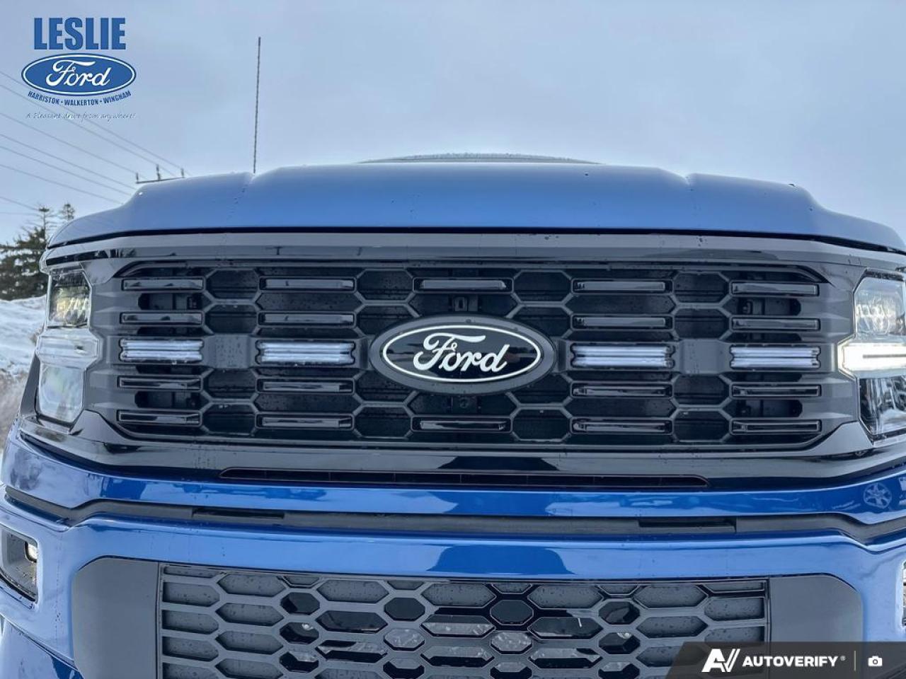 2025 Ford F-150 STX Lobo SuperCrew 4x4 Photo