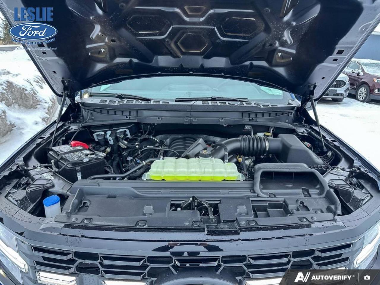 2025 Ford F-150 STX Lobo SuperCrew 4x4 Photo