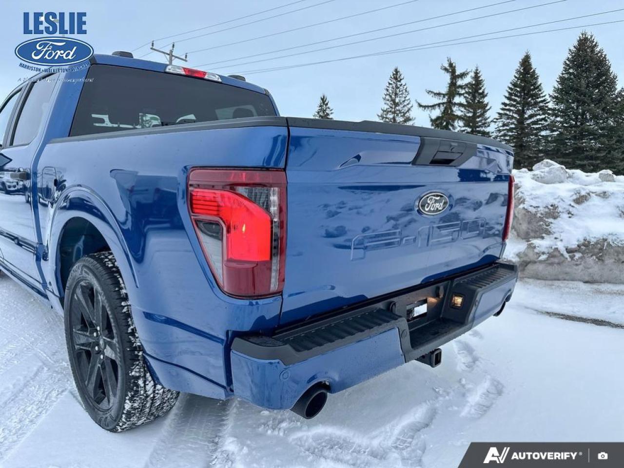 2025 Ford F-150 STX Lobo SuperCrew 4x4 Photo