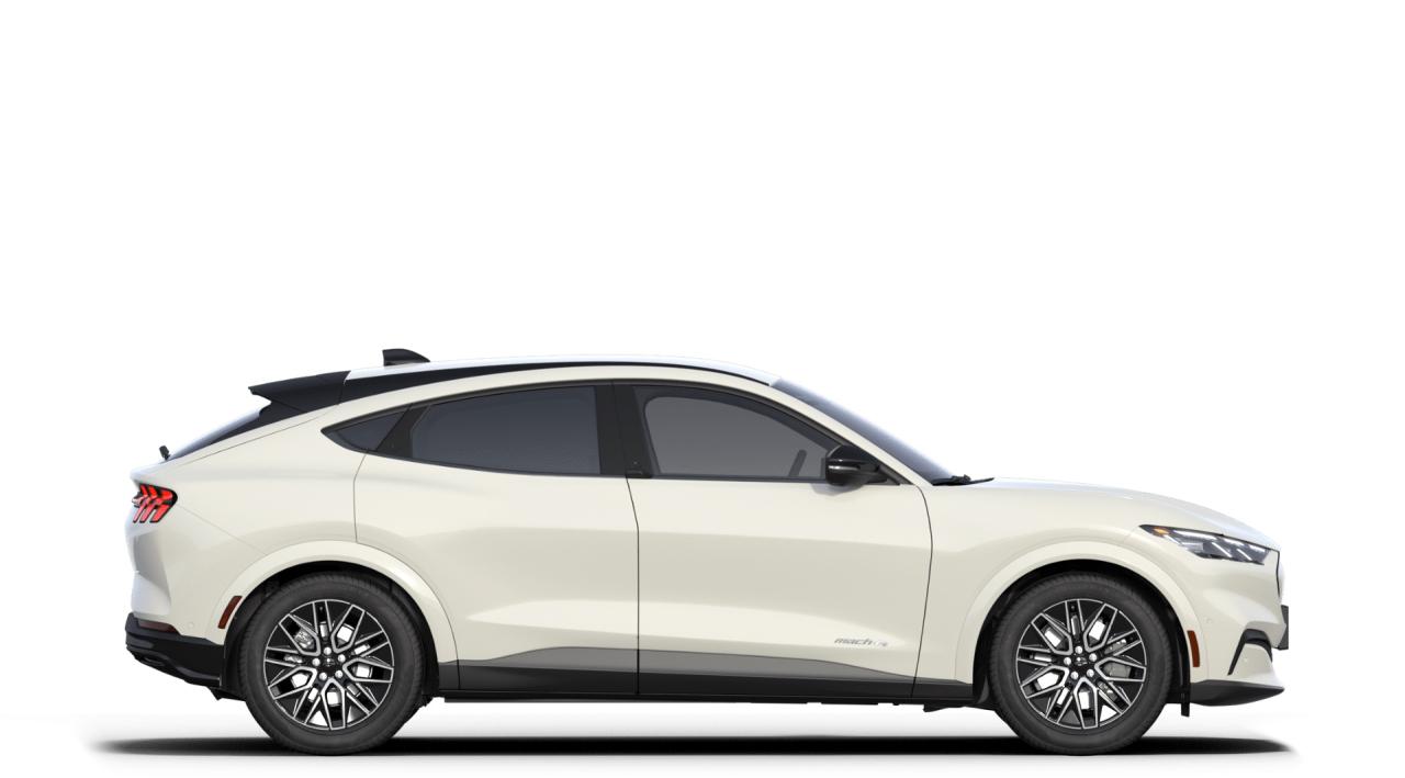 2025 Ford Mustang Mach-E Premium 300A Photo