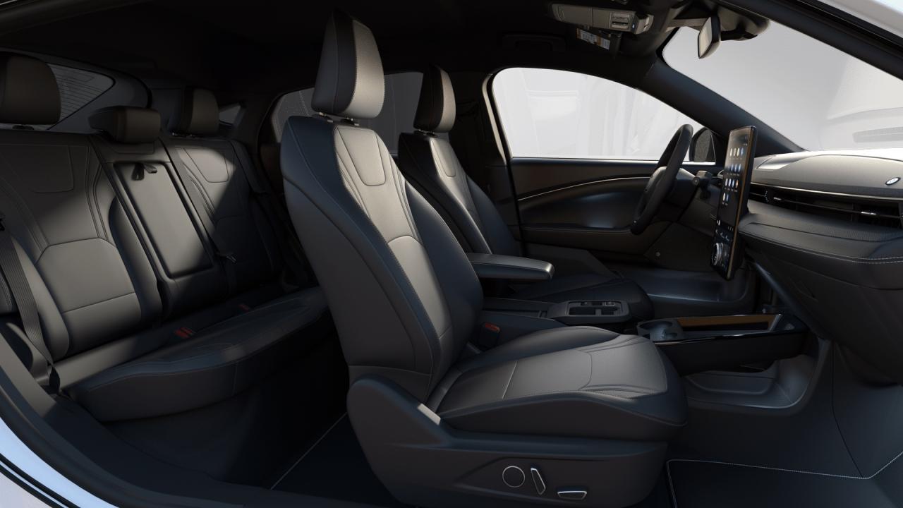 2025 Ford Mustang Mach-E Premium 300A Photo