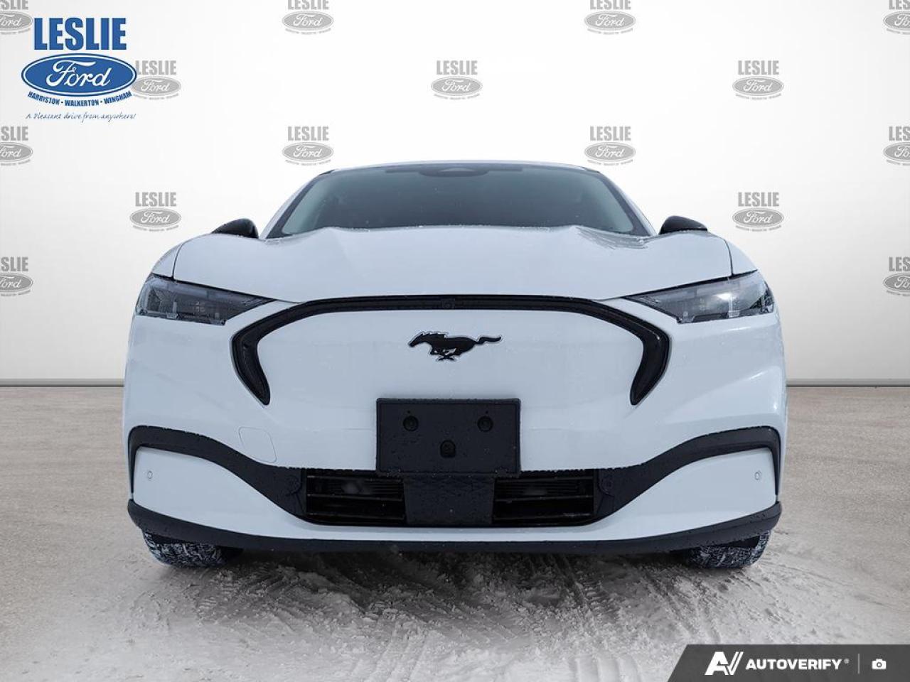 2025 Ford Mustang Mach-E Premium AWD Photo