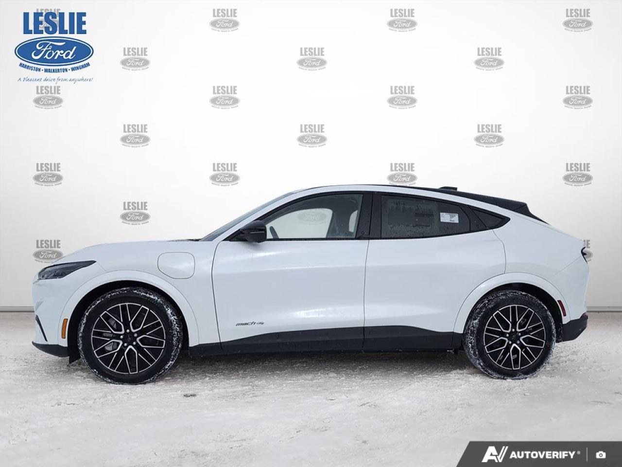 2025 Ford Mustang Mach-E Premium AWD Photo