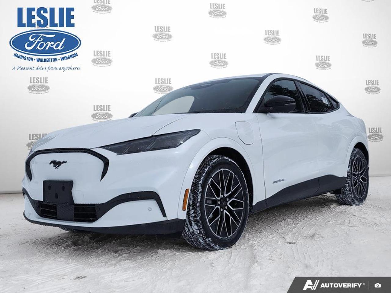 2025 Ford Mustang Mach-E Premium AWD Photo0
