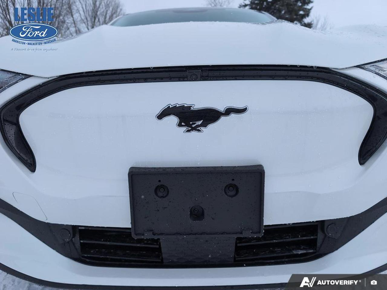 2025 Ford Mustang Mach-E Premium AWD Photo