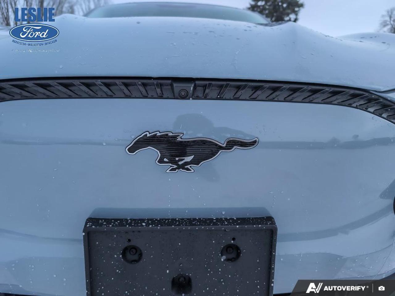 2025 Ford Mustang Mach-E Select AWD Photo