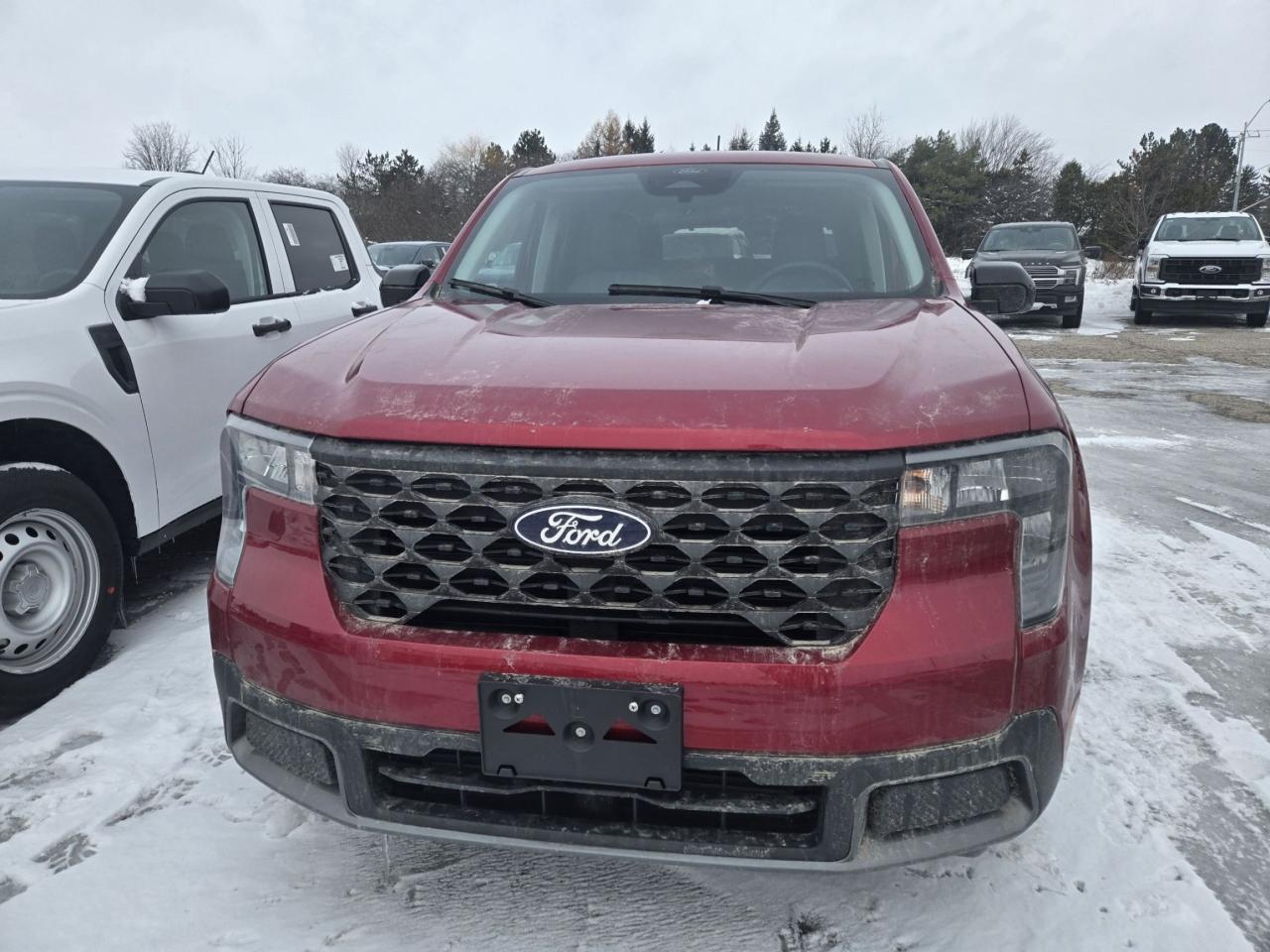 2026 Ford Maverick XLT, POWER MOONROOF, CO-PILOT360, Photo