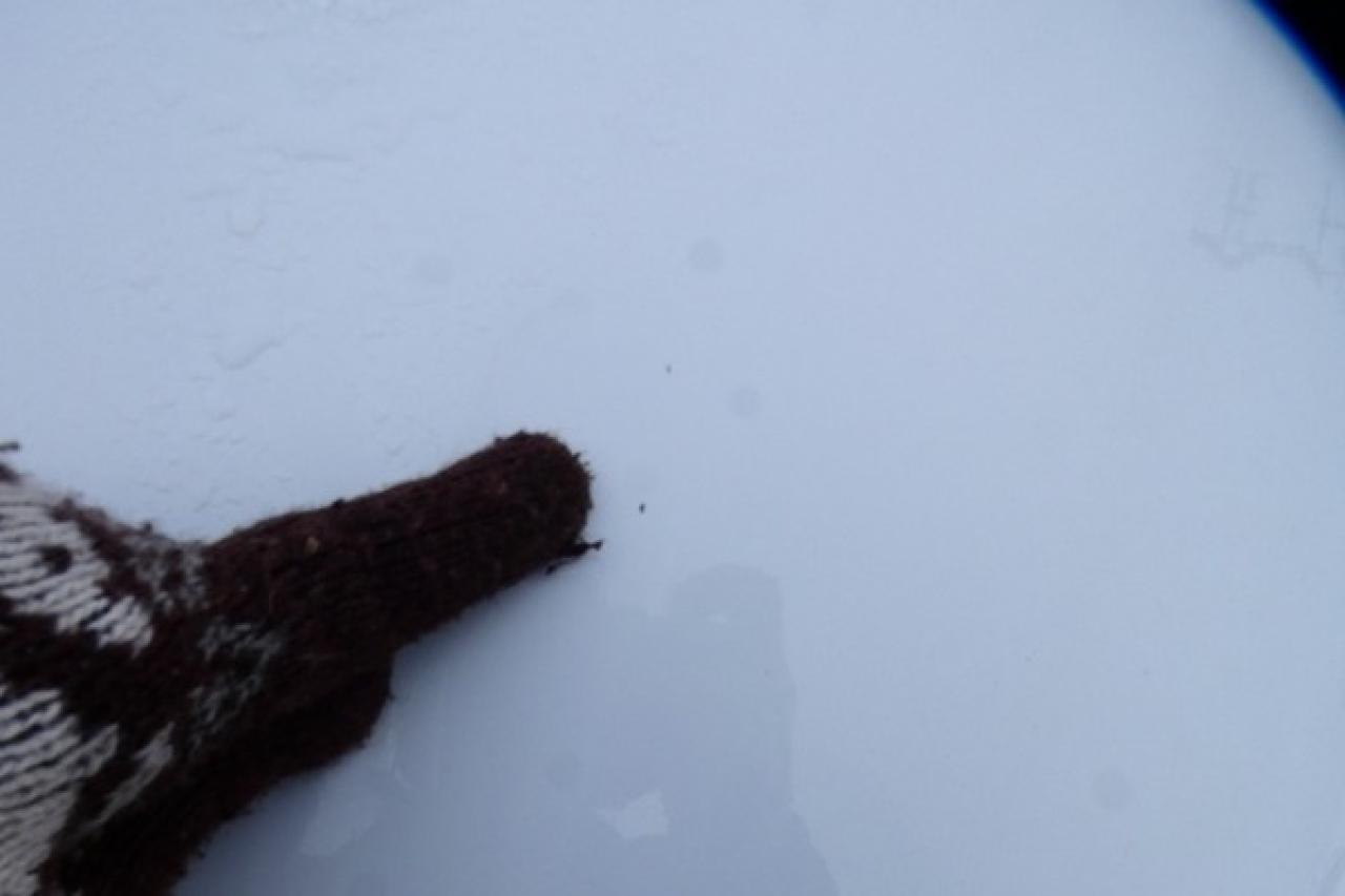 2024 Chrysler Grand Caravan SXT 2WD w/Htd cloth, Htd wheel, NAV, BUC - Photo #25