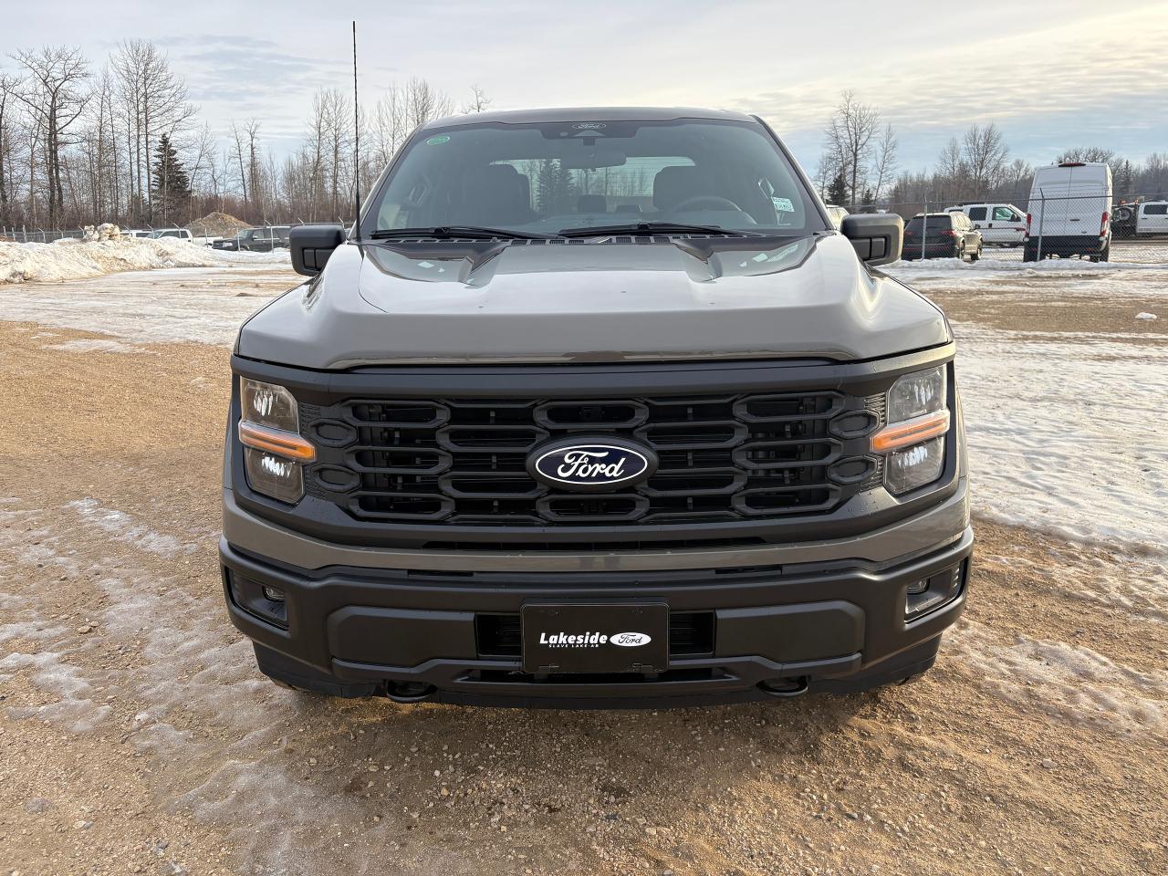 2025 Ford F-150 STX Photo1