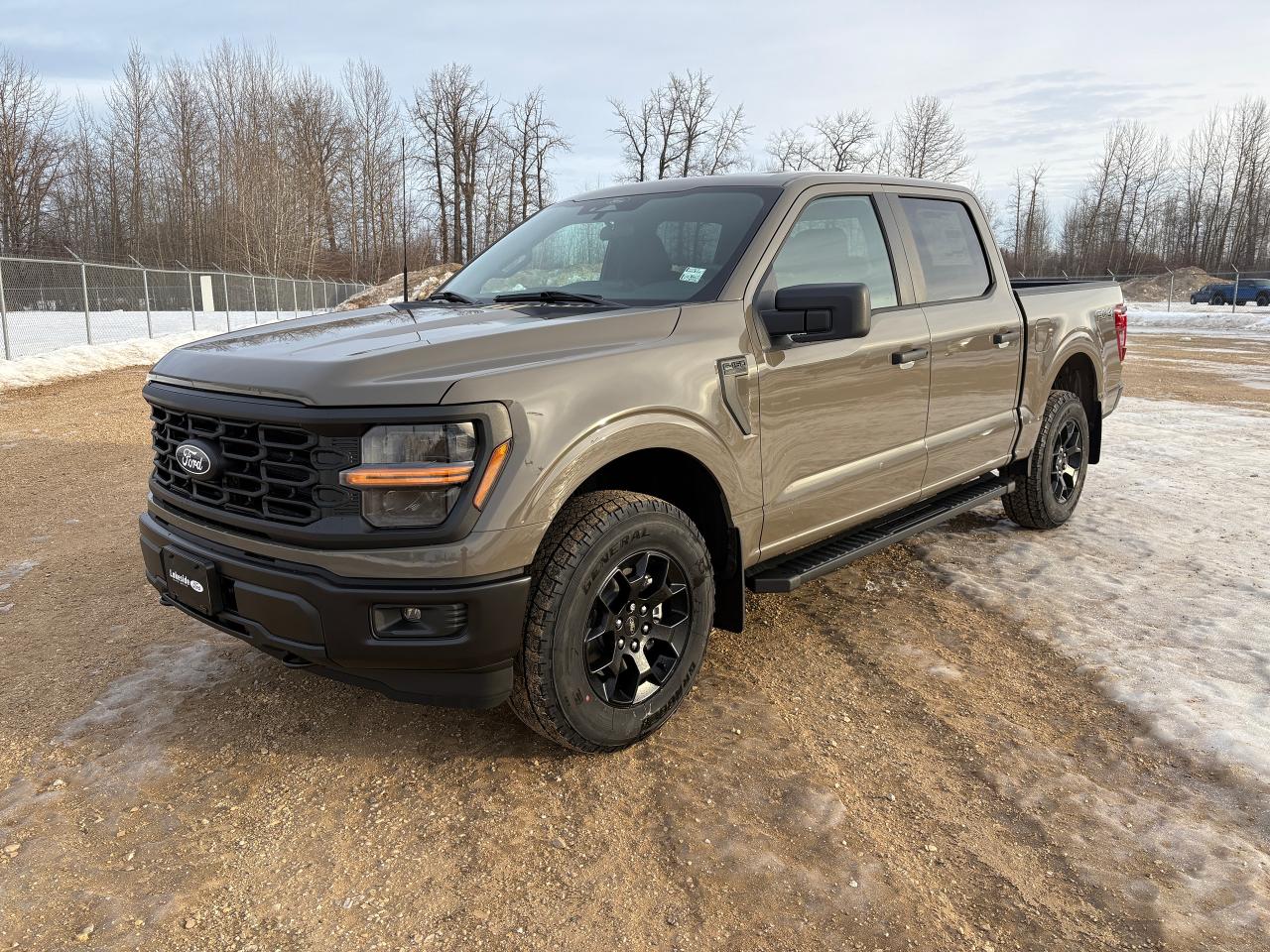 2025 Ford F-150 STX Photo0