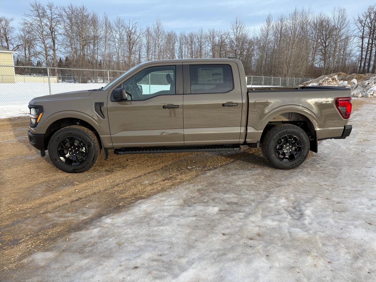 2025 Ford F-150 STX Photo2