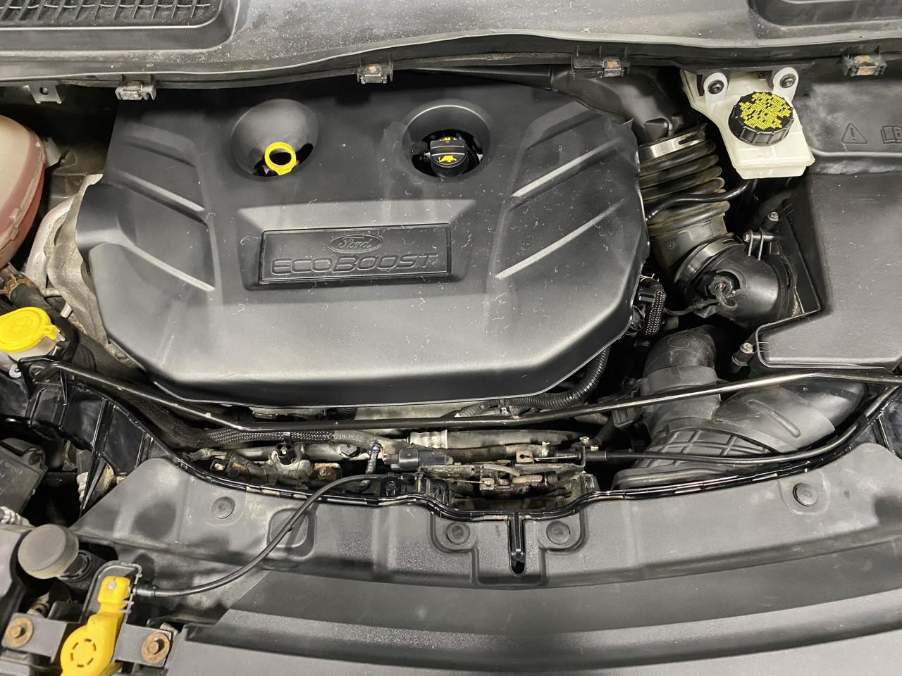 2017 Ford Escape 4WD 4dr SE - Photo #9