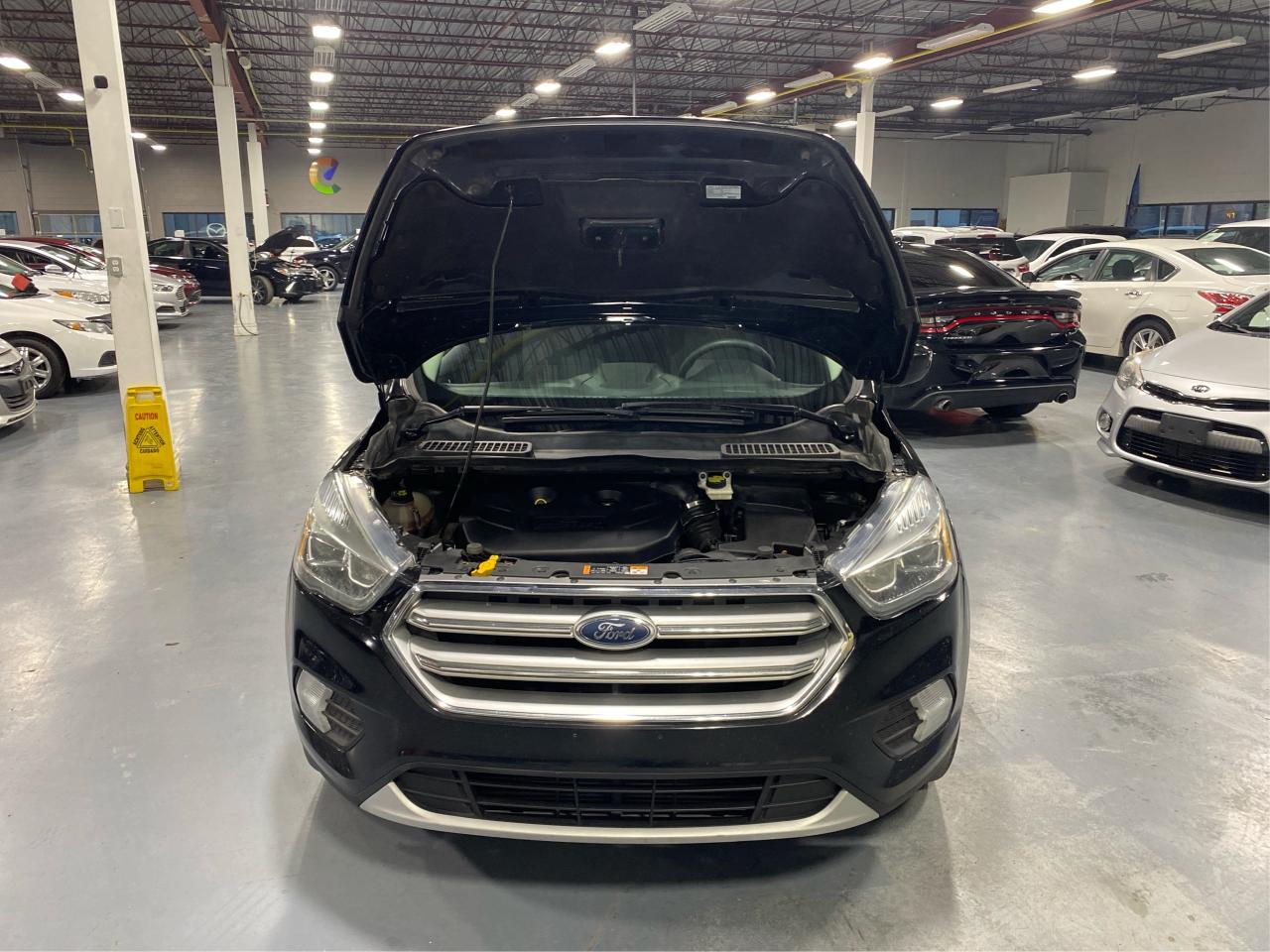 2017 Ford Escape 4WD 4dr SE Photo