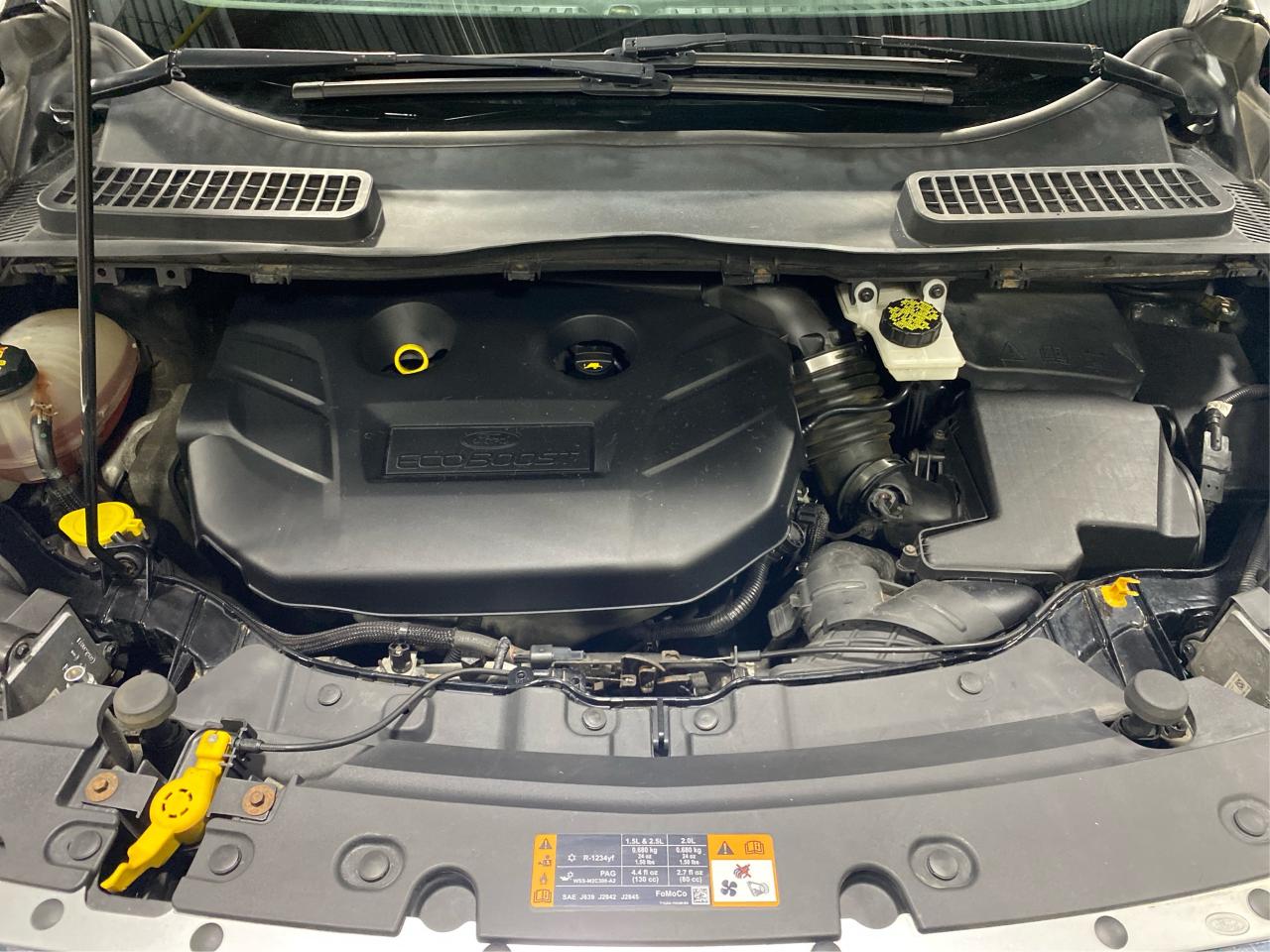 2017 Ford Escape 4WD 4dr SE Photo