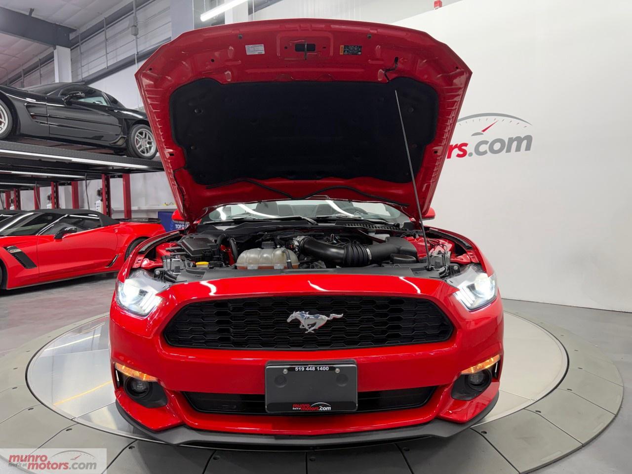 2017 Ford Mustang 2DR CONV V6 Photo