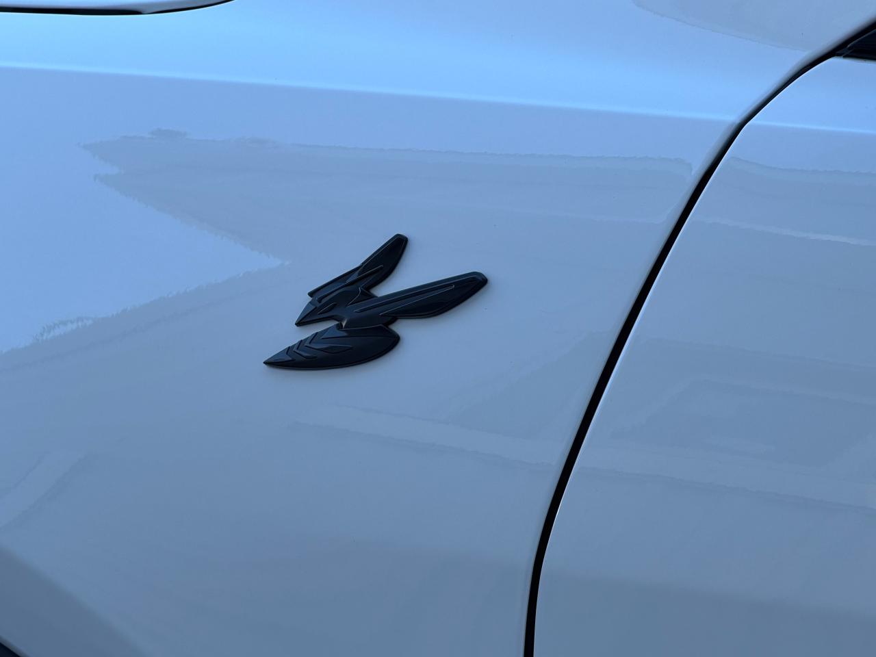 2024 Dodge Hornet GT Plus AWD+Roof+Leather+CLEAN CARFAX Photo