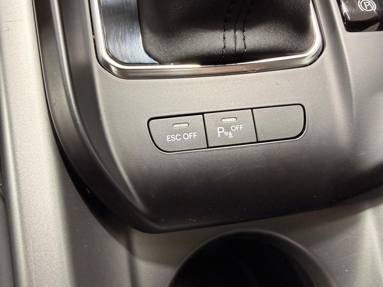 2024 Dodge Hornet GT Plus AWD+Roof+Leather+CLEAN CARFAX Photo