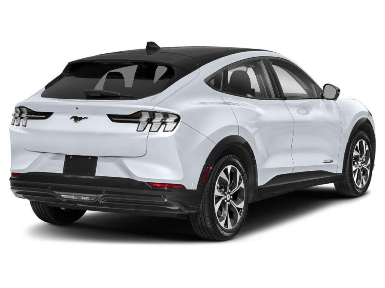 2022 Ford Mustang Mach-E Premium Photo2