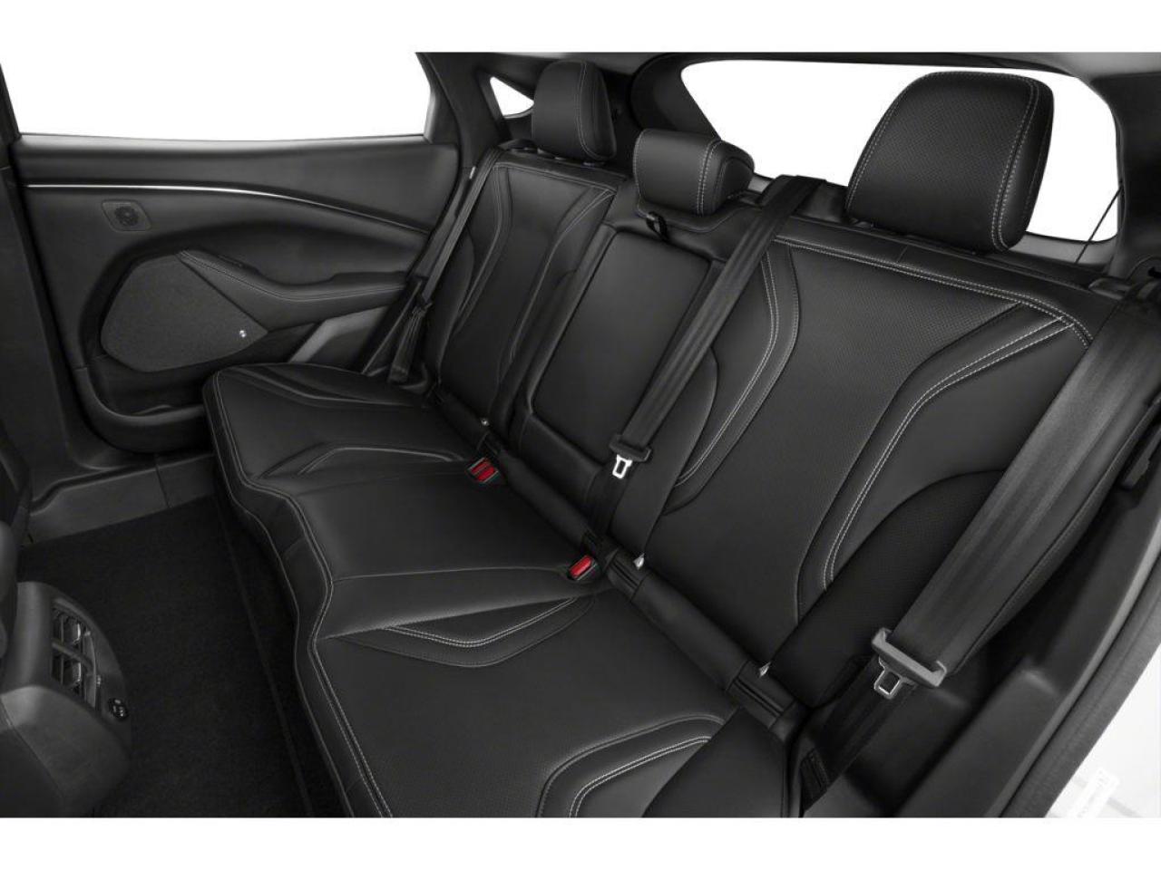 2022 Ford Mustang Mach-E Premium Photo