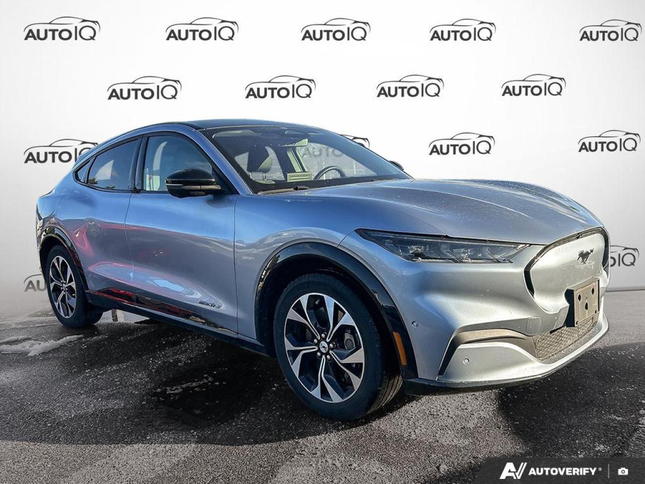 Used 2022 Ford Mustang Mach-E Premium for sale in Oakville, ON