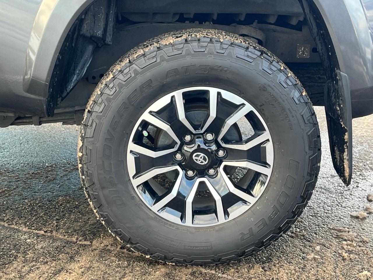 2023 Toyota Tacoma 4x4 Double Cab Auto Photo