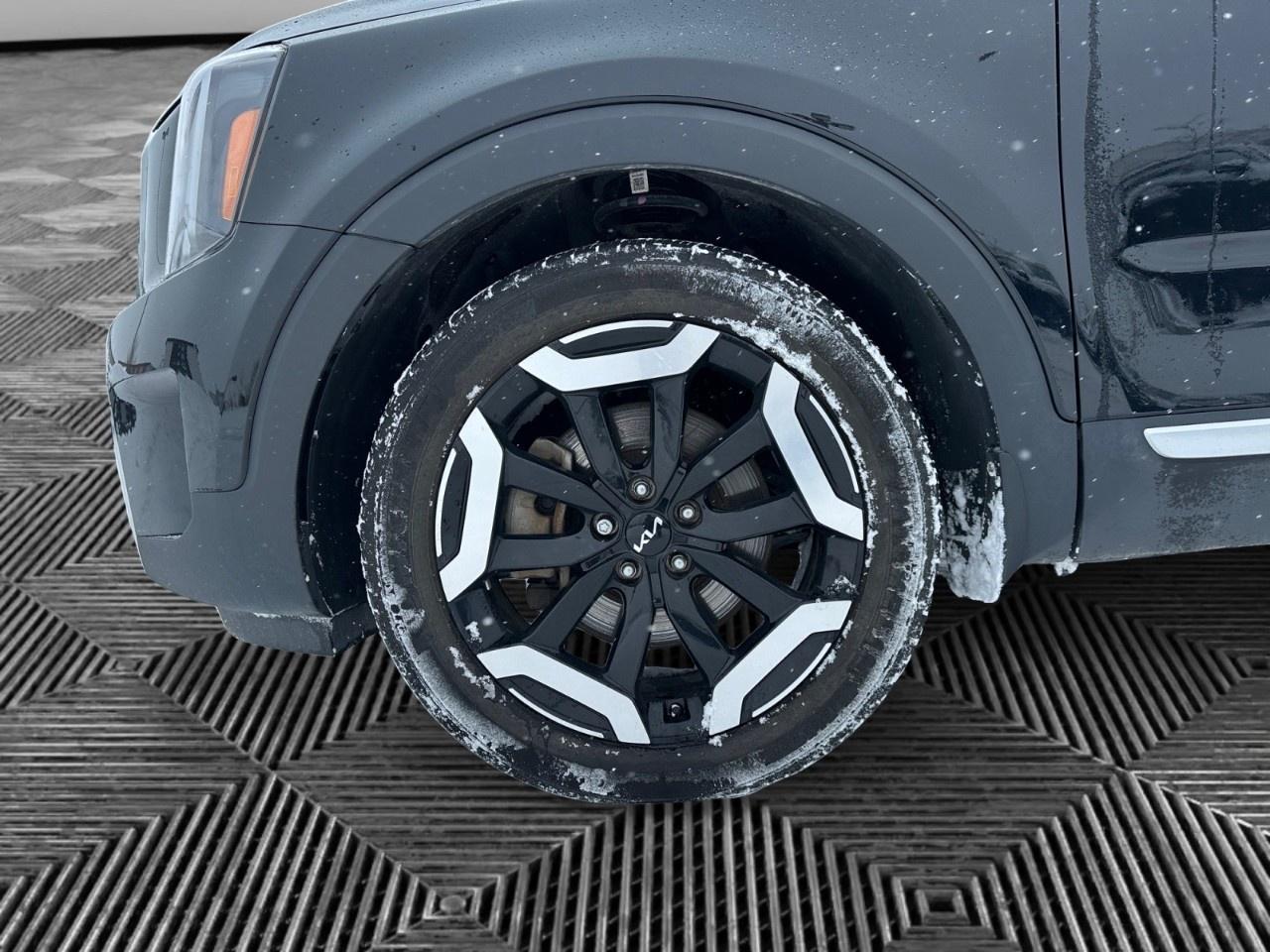 2024 Kia Telluride EX AWD Photo