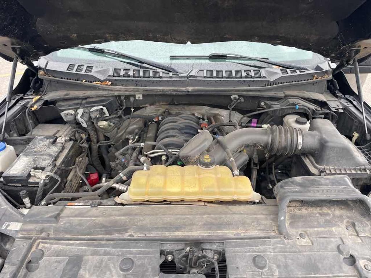 2020 Ford F-150 SUPERCREW Photo