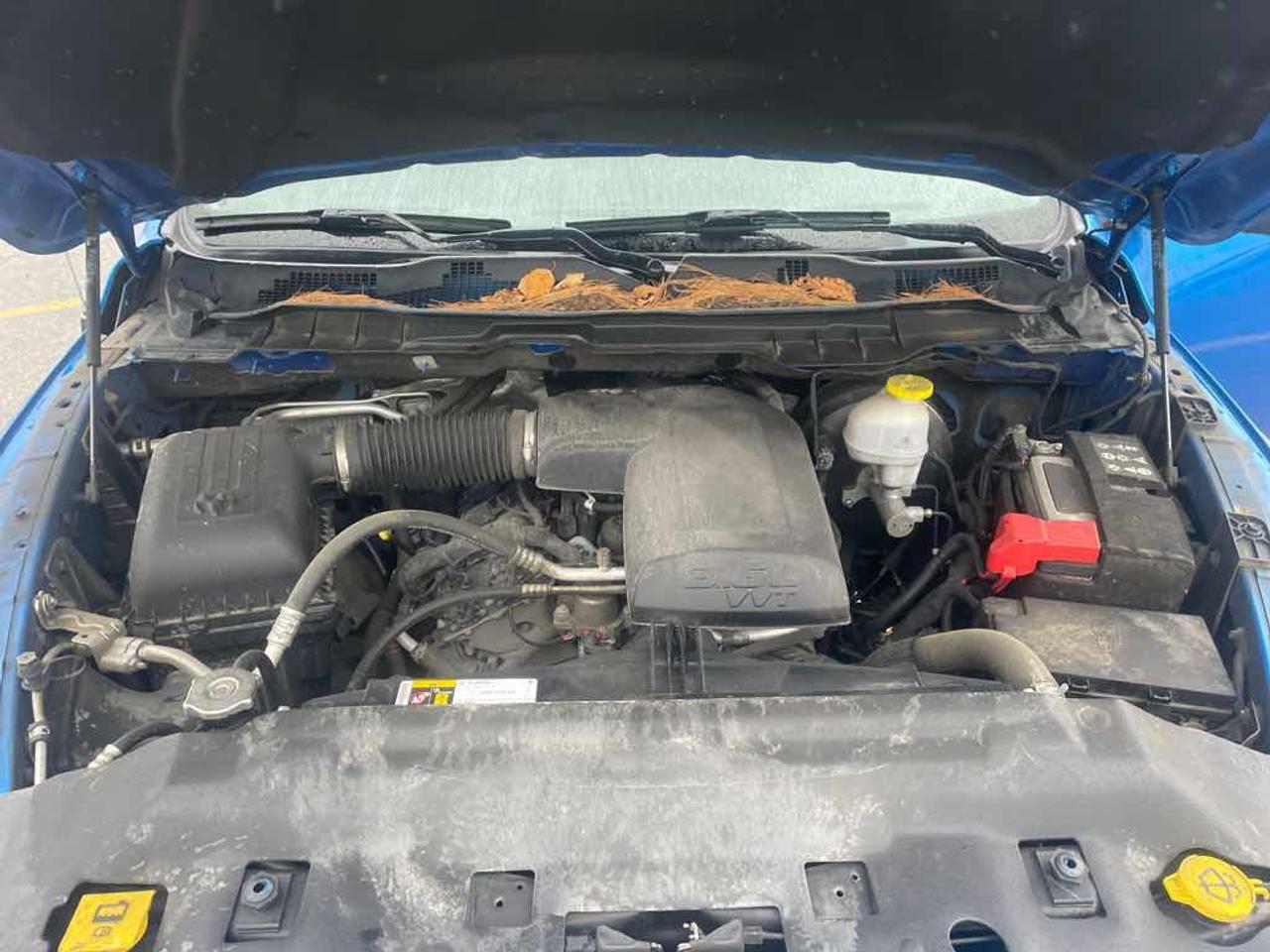 2022 RAM 1500 Classic TRADE Photo