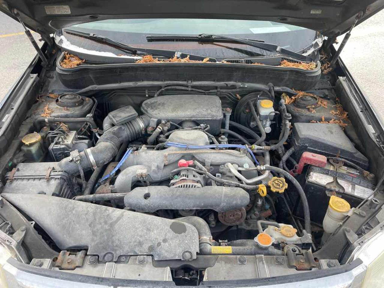 2010 Subaru FORESTER 2.5X LIMI  Photo
