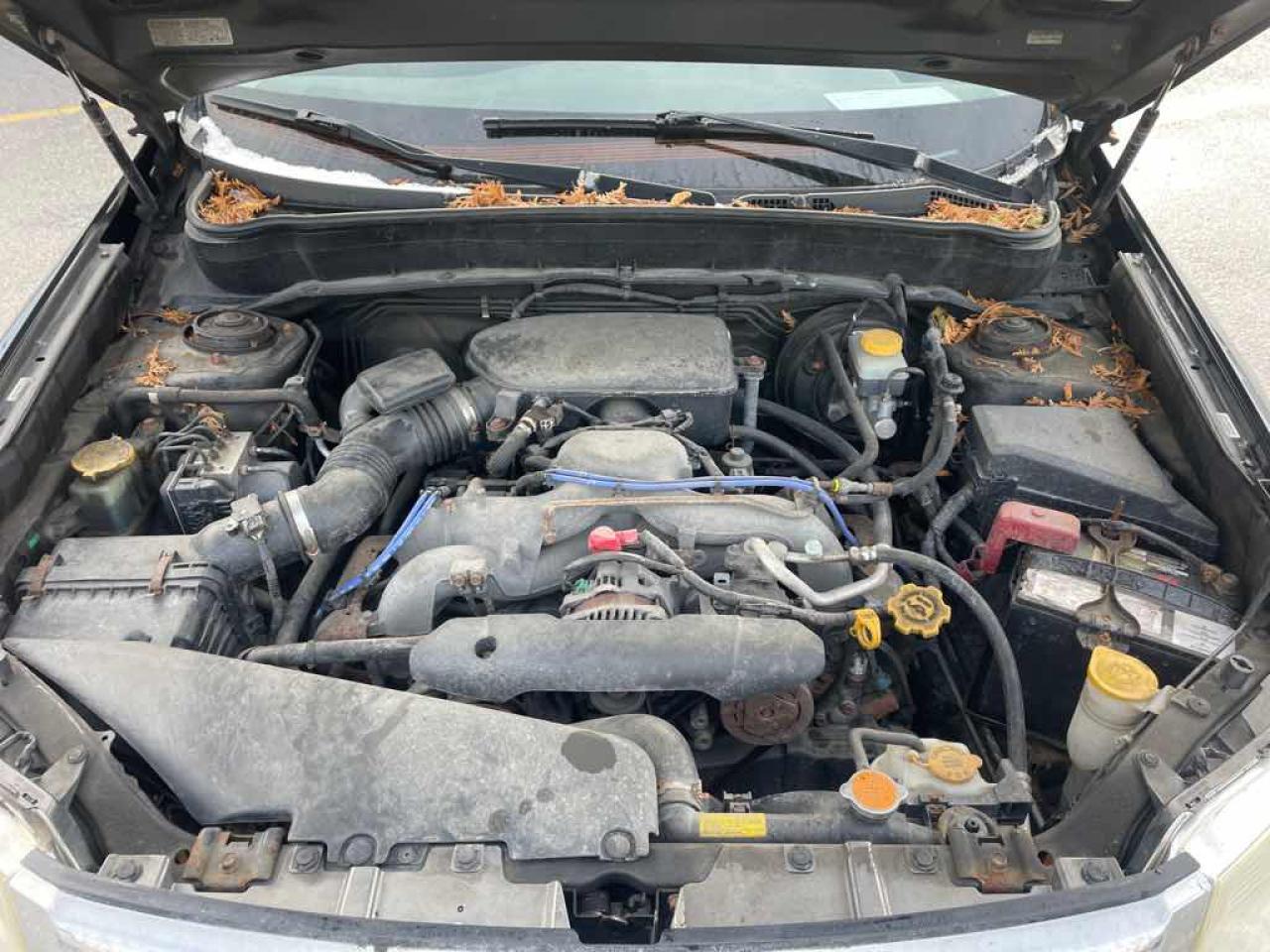 2010 Subaru FORESTER 2.5X LIMI  - Photo #7