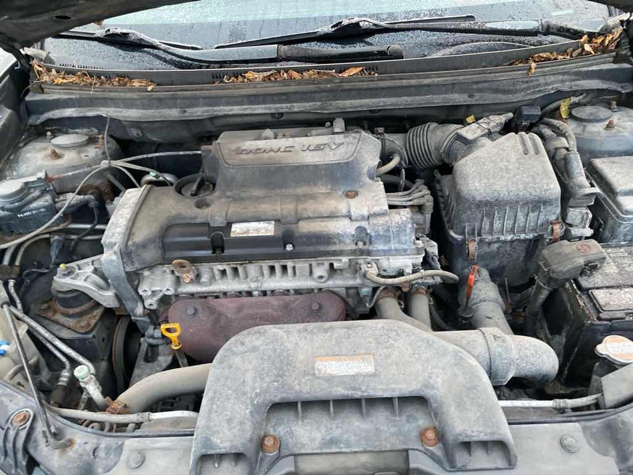 2008 Hyundai Elantra  Photo