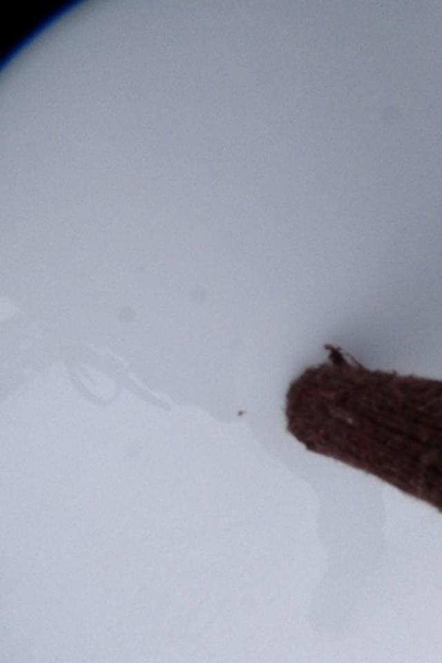 2025 Ford F-150 XLT w/htd cloth, NAV, BUC - Photo #26