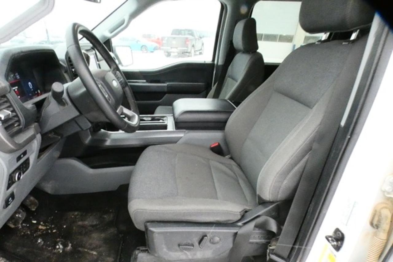 2025 Ford F-150 XLT w/htd cloth, NAV, BUC - Photo #10