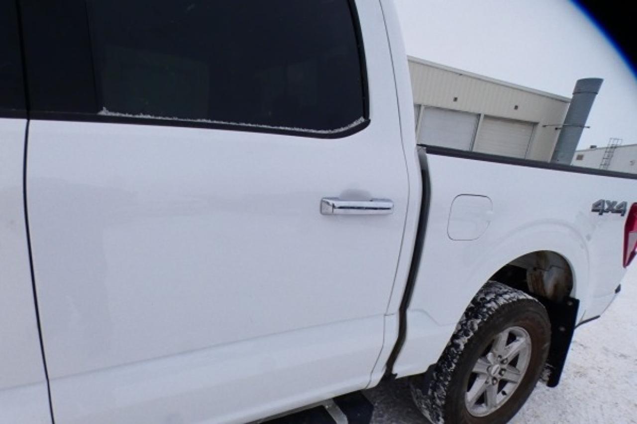 2025 Ford F-150 XLT w/htd cloth, NAV, BUC - Photo #27