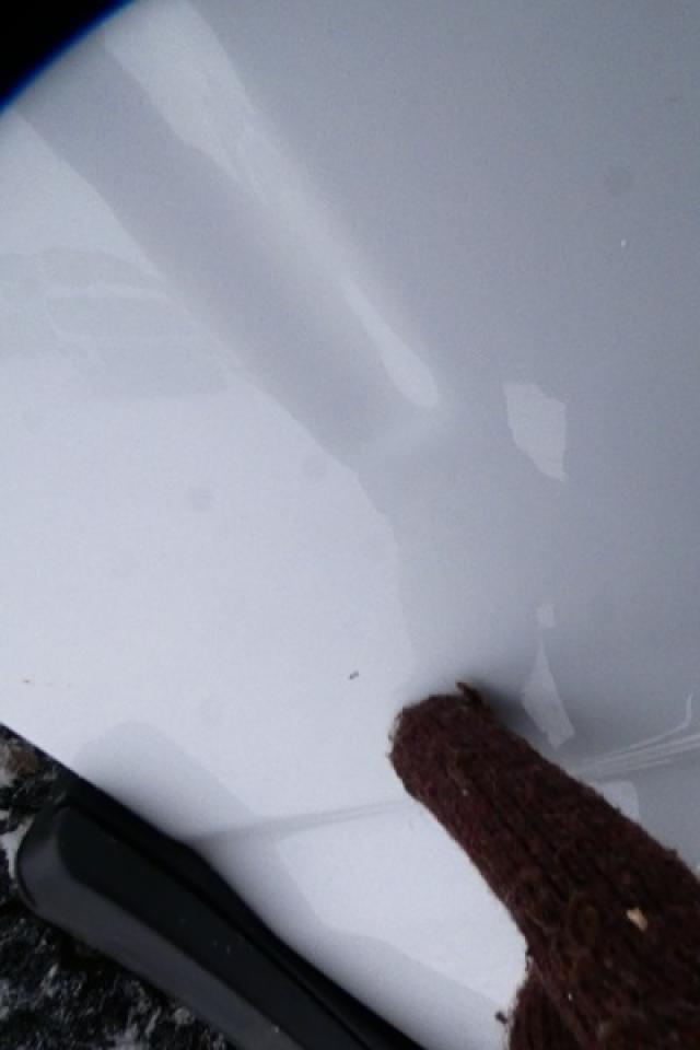 2025 Ford F-150 XLT w/htd cloth, NAV, BUC - Photo #22