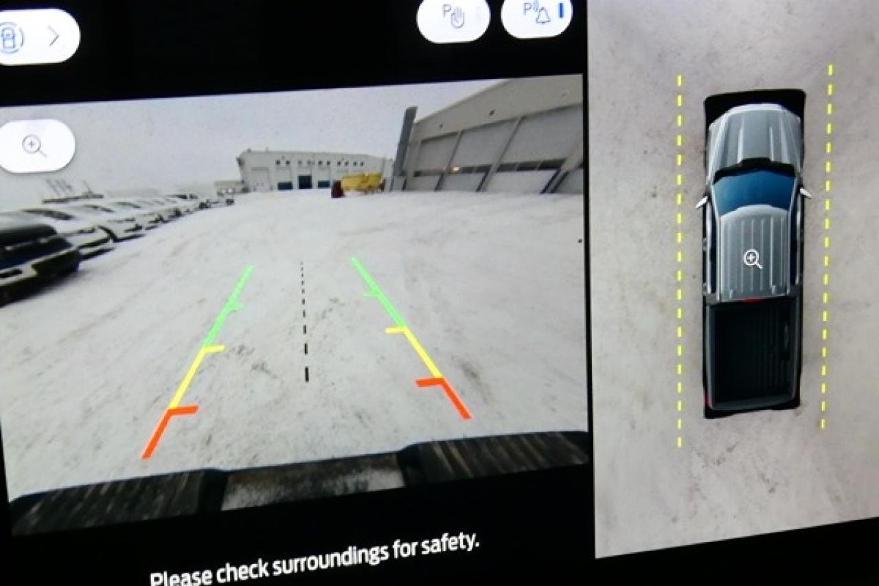 2025 Ford F-150 XLT w/htd cloth, NAV, BUC - Photo #14