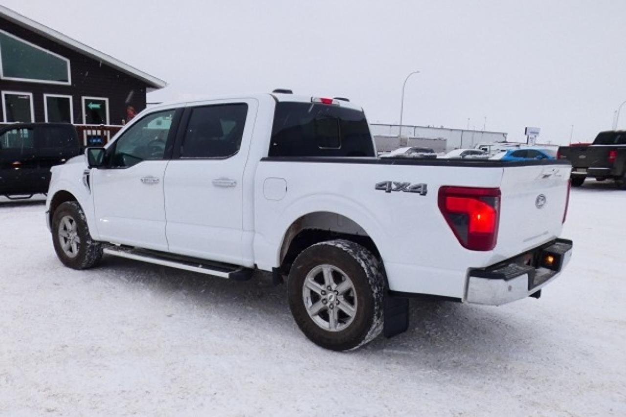 2025 Ford F-150 XLT w/htd cloth, NAV, BUC - Photo #8