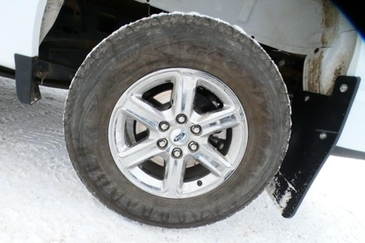 2025 Ford F-150 XLT w/htd cloth, NAV, BUC - Photo #18