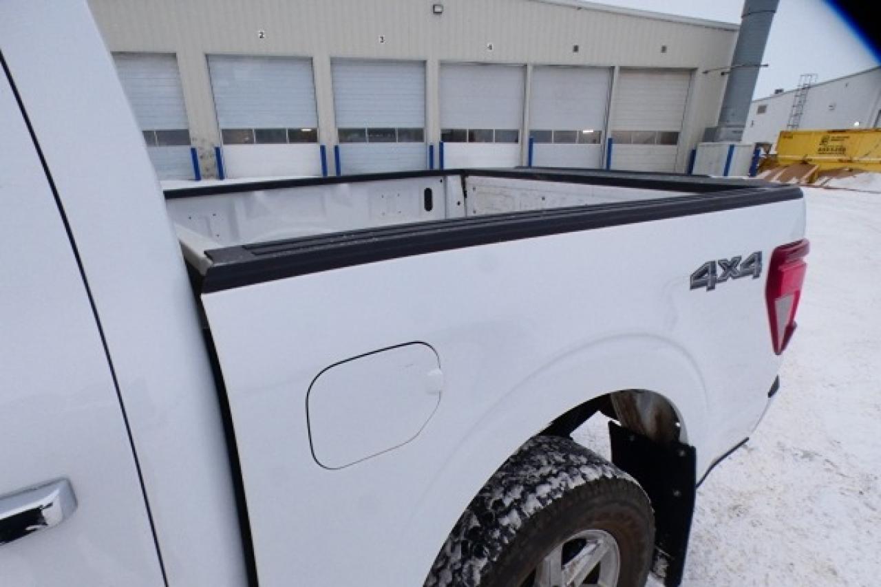 2025 Ford F-150 XLT w/htd cloth, NAV, BUC - Photo #16