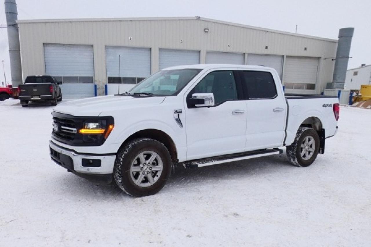 2025 Ford F-150 XLT w/htd cloth, NAV, BUC - Photo #2