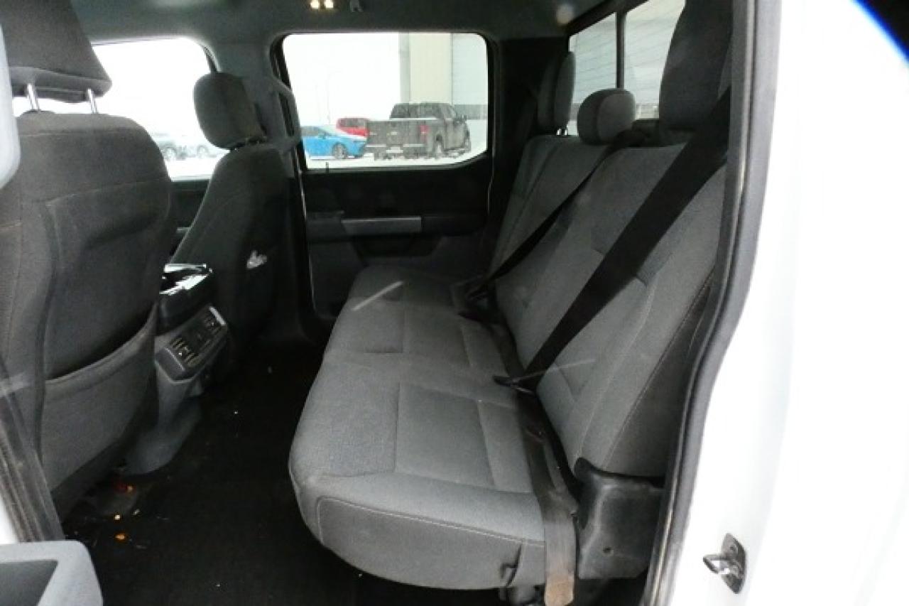 2025 Ford F-150 XLT w/htd cloth, NAV, BUC - Photo #9