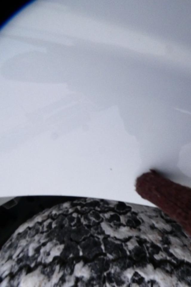 2025 Ford F-150 XLT w/htd cloth, NAV, BUC - Photo #23