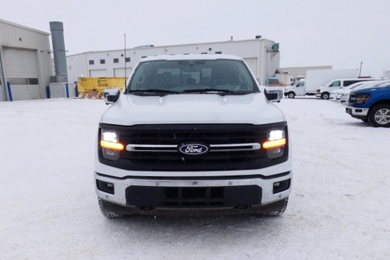 2025 Ford F-150 XLT w/htd cloth, NAV, BUC - Photo #3