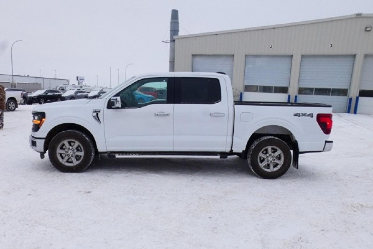 2025 Ford F-150 XLT w/htd cloth, NAV, BUC - Photo #1