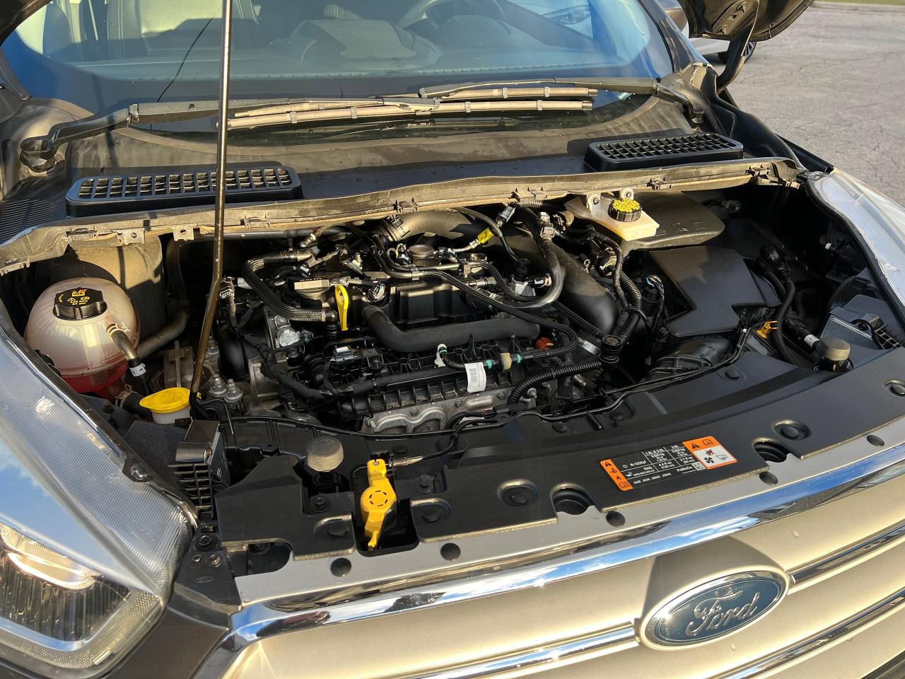 2019 Ford Escape SEL 4WD NO ACCIDENTS HEATED SEATS APPLE CARPLAY Photo