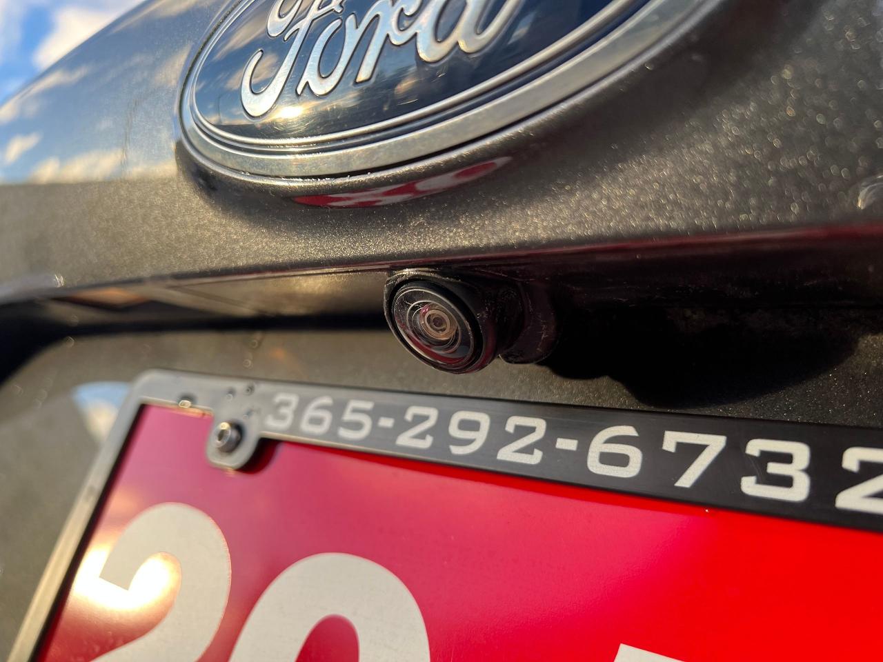 2019 Ford Escape SEL 4WD NO ACCIDENTS HEATED SEATS APPLE CARPLAY Photo