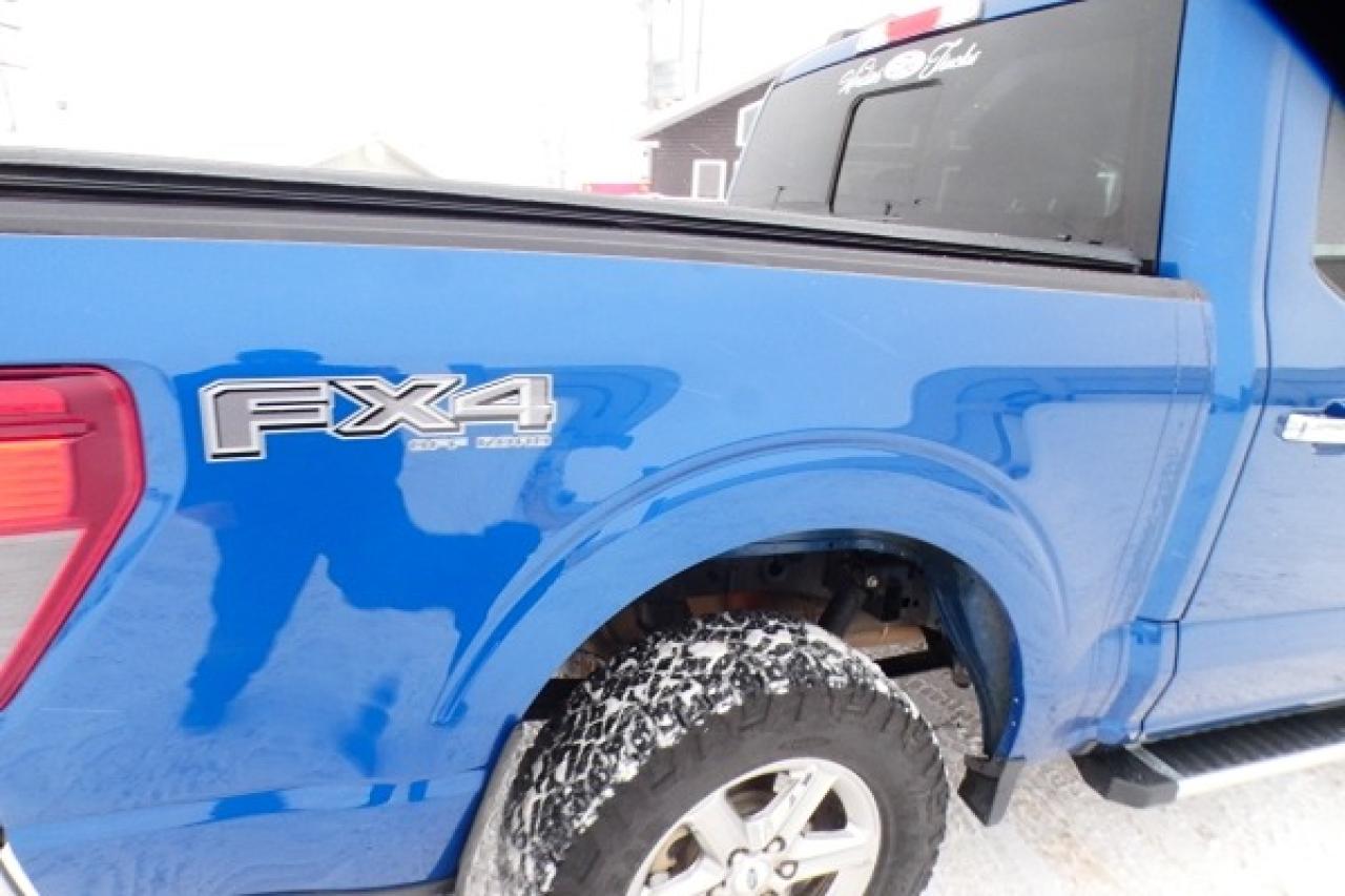 2024 Ford F-150 XLT 4WD SuperCrew 5.5' Box w/Htd cloth, NAV, BUC - Photo #28