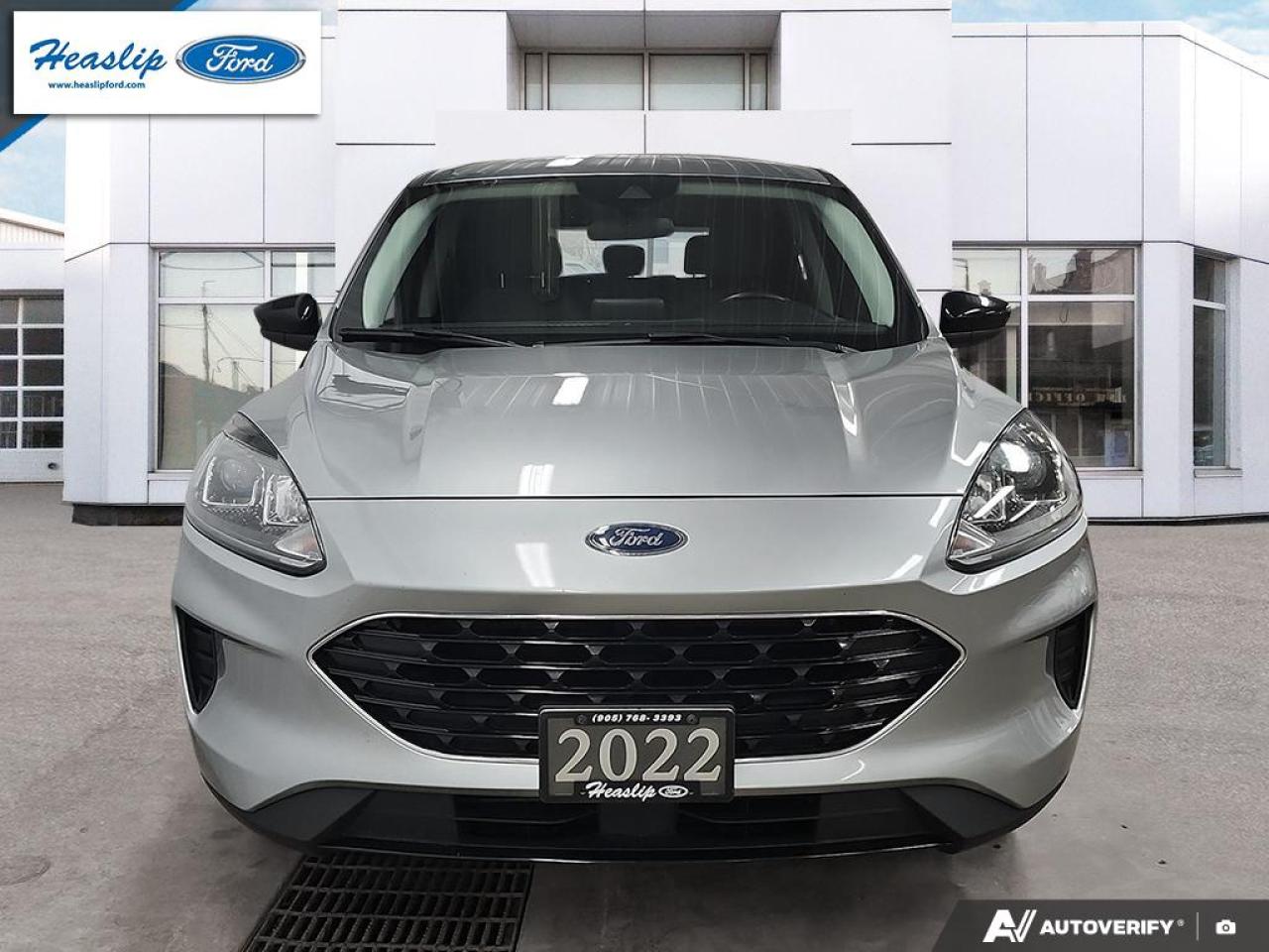 2022 Ford Escape SE Photo1