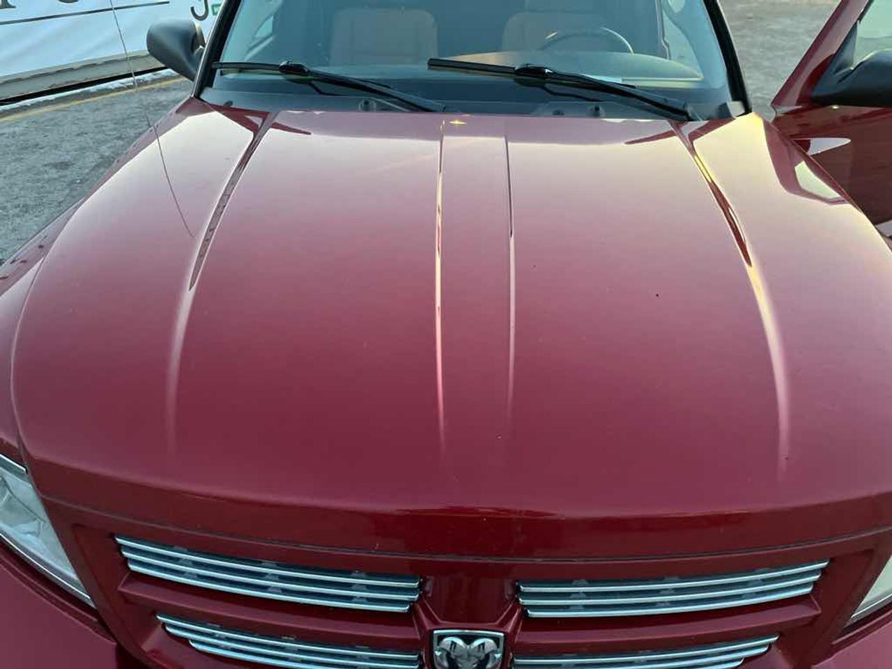2008 Dodge Dakota SXT Photo